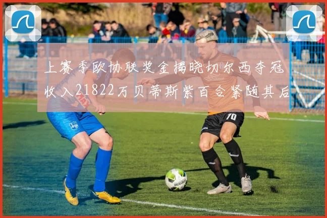 上赛季欧协联奖金揭晓切尔西夺冠收入21822万贝蒂斯紫百合紧随其后