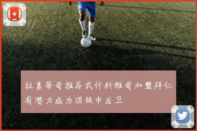 拉基蒂奇推荐武什科维奇加盟拜仁有潜力成为顶级中后卫