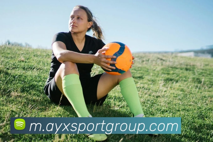 爱游戏体育APP 高清赛事图